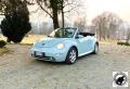 1 VOLKSWAGEN New Beetle Cabrio